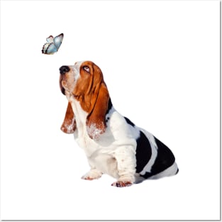 Butterfly Basset Posters and Art